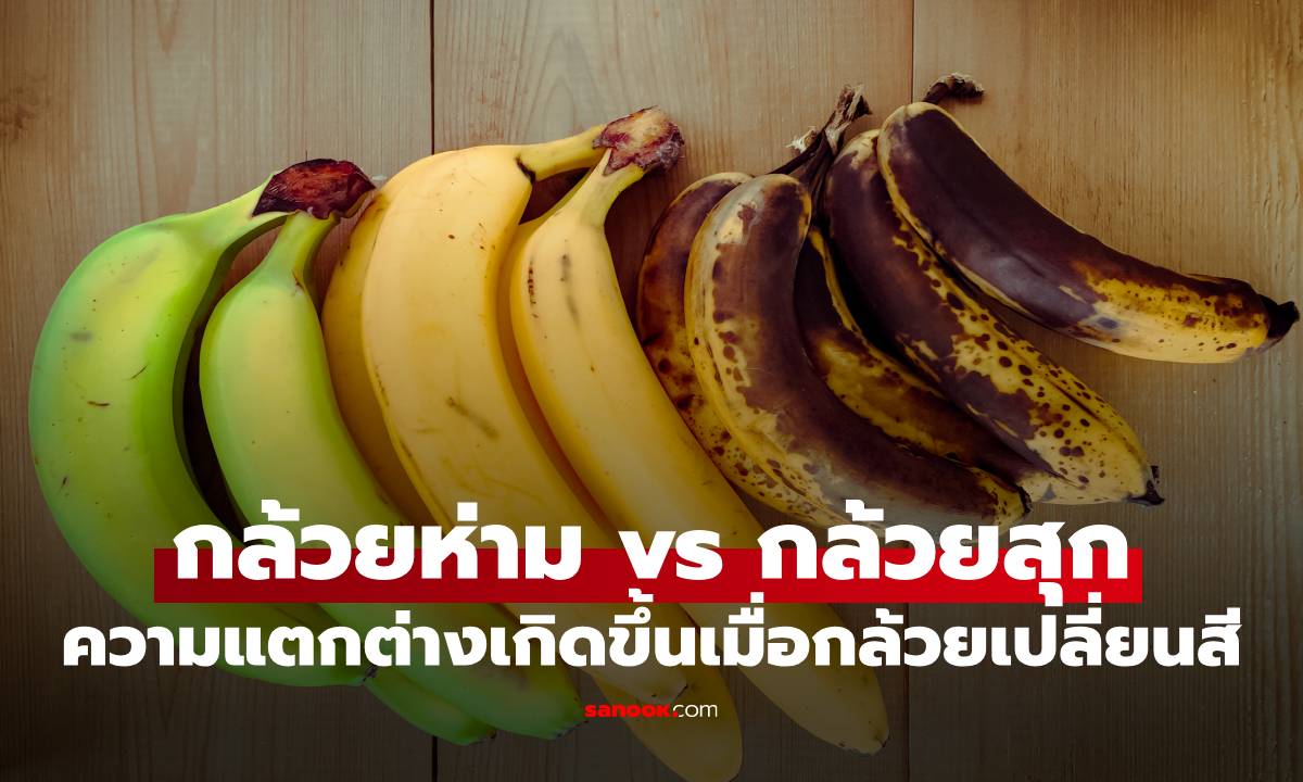 กล้วยห่ามไม่ได้ด้อยกว่ากล้วยสุก รู้ความแตกต่างที่เกิดขึ้นเมื่อกล้วยเปลี่ยนสี