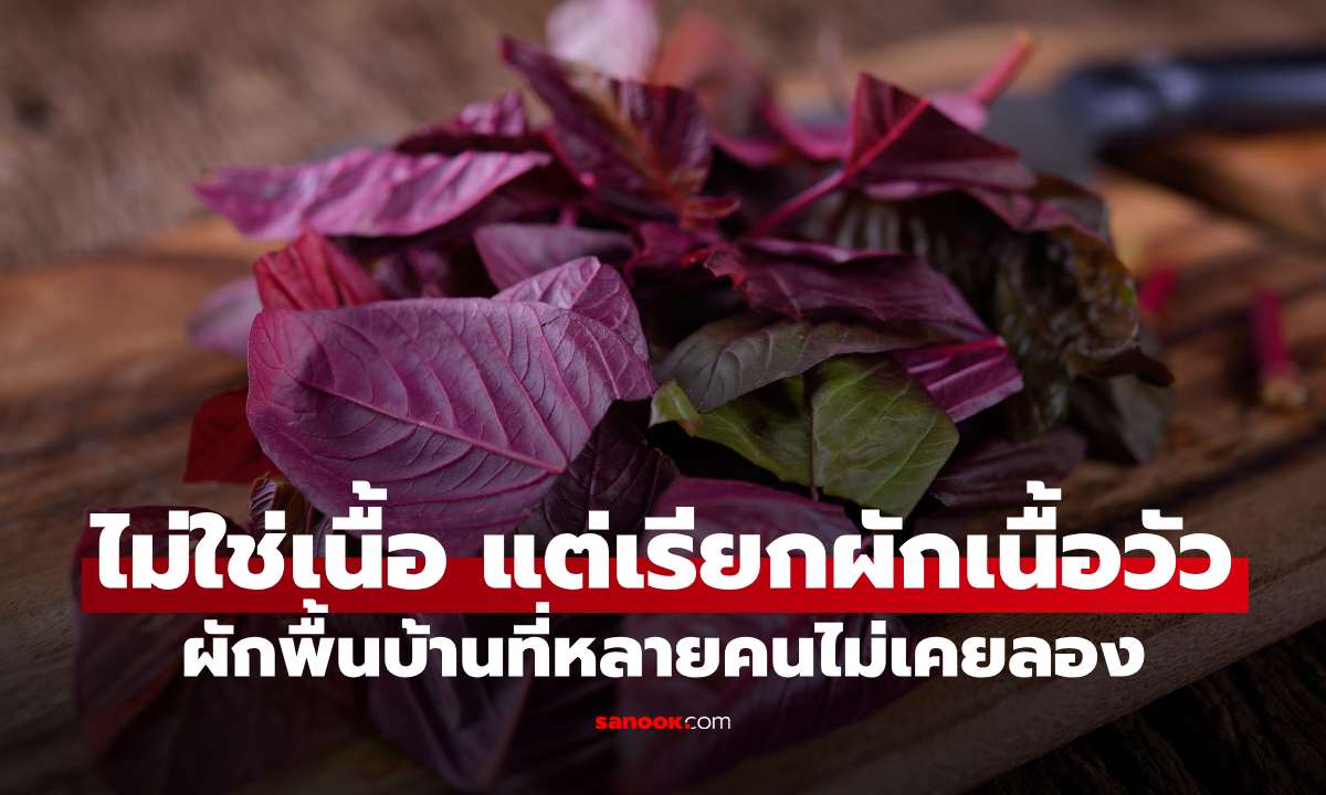 ไม่ใช่เนื้อ แต่ทำไมเรียก “ผักเนื้อวัว”? รู้จักผักโขมแดง ผักพื้นบ้านสีจัดที่หลายคนไม่เคยลอง