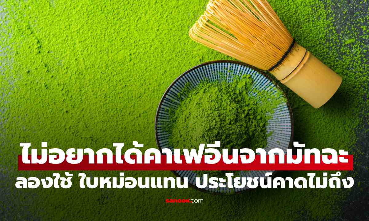 ไม่อยากได้คาเฟอีนจากมัทฉะ ลอง “ใบหม่อน” แทน! รู้ประโยชน์ที่คนไม่ค่อยรู้