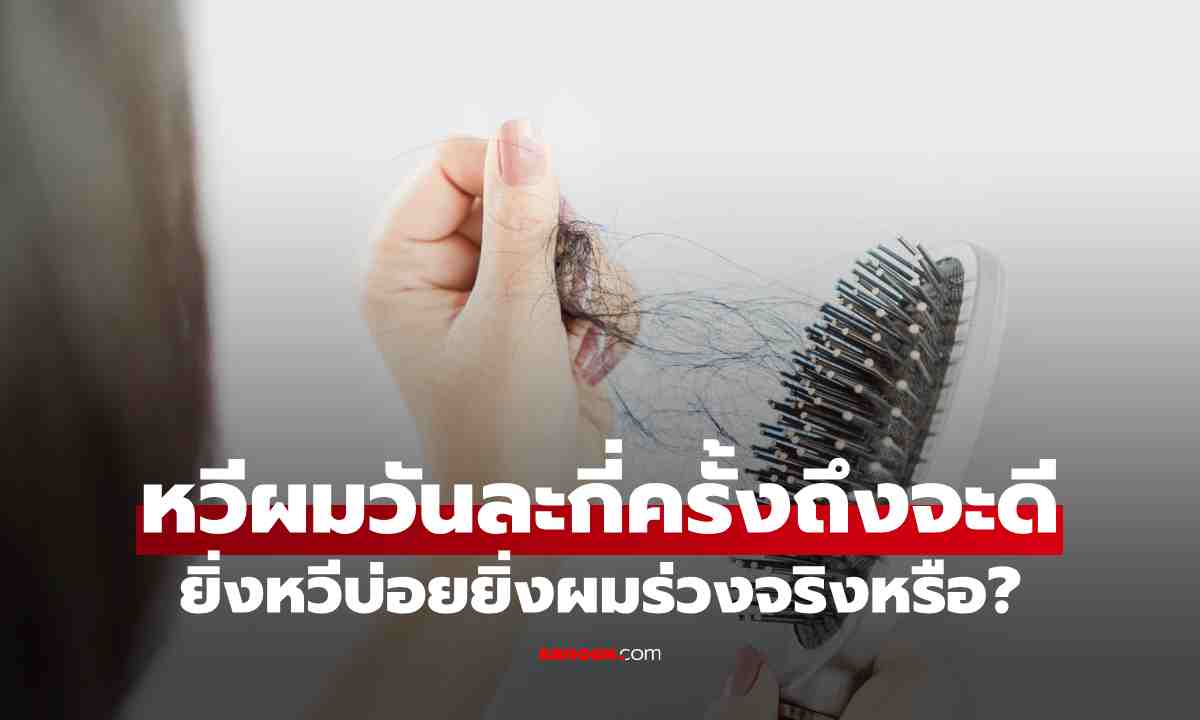 หวีผมวันละกี่ครั้งถึงจะดี ยิ่งหวีบ่อยยิ่งผมร่วงจริงหรือ