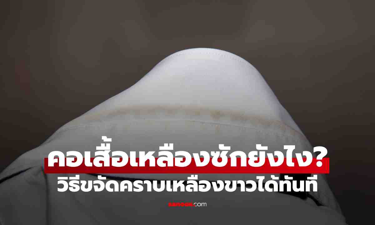 คอเสื้อเหลือง ซักยังไงให้กลับมาขาว? เปิดวิธีขจัดคราบเหลืองแบบง่าย ๆ