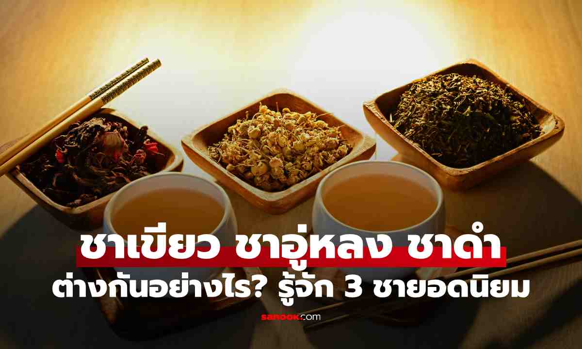 ชาเขียว ชาอู่หลง ชาดำ ต่างกันอย่างไร? รู้จัก 3 ชายอดนิยม เลือกดื่มให้เหมาะกับตัวเอง
