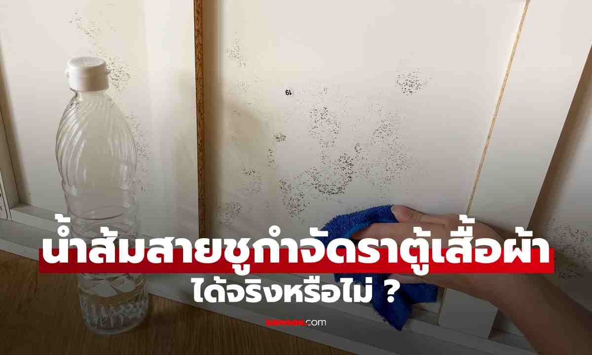 น้ำส้มสายชูกำจัดราในตู้เสื้อผ้าได้จริงไหม? หลายบ้านอาจเข้าใจผิดเรื่องนี้
