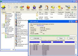 Internet Download Manager 6.04 Build 1