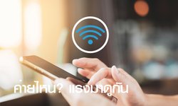 ส่องโปรโมชั่นและความแรงของอินเทอร์เน็ต Fiber ค่ายไหนถูกสุดและคุ้มค่าสุดในช่วงวันหยุดนี้