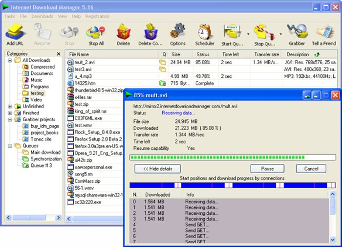 Internet Download Manager 6.04 Build 1