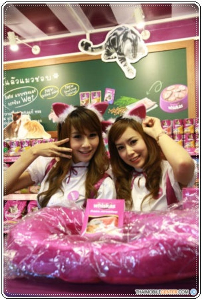 พริตตี้งาน Thailand Mobile Expo 2011 Hi-End