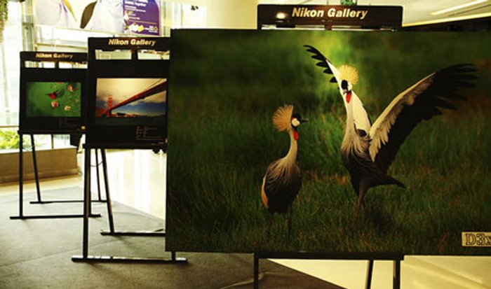 Nikon Day 2010 : งานสำหรับคนรัก Nikon ครั้งที่ 13