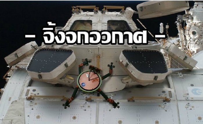 อย่างจ๊าบ! "จิ้งจกอวกาศ" นวัตกรรมใหม่ล้ำๆไปเลย จากนาซ่า