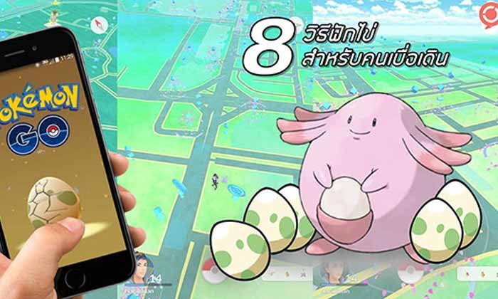 8 วิธีทางเลือกในการฟักไข่ สำหรับคนไม่อยากเดิน
