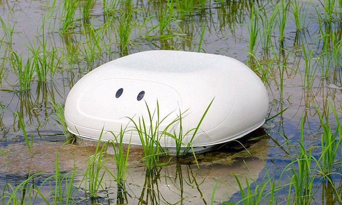 นิสสันพัฒนาหุ่นยนต์ Duck ช่วยกำจัดวัชพืชออกจากนาข้าวในประเทศญี่ปุ่น