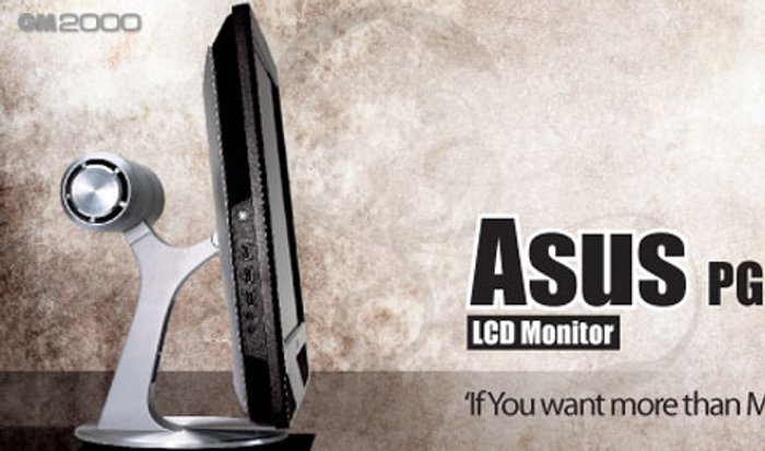 Asus PG221 LCD Monitor