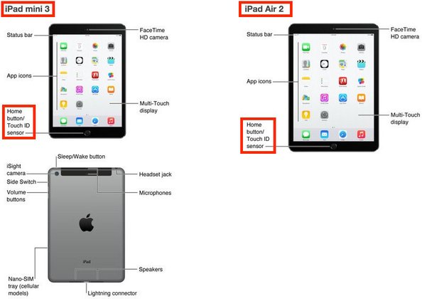 หลุดไม่ต้องลุ้น iPad Air 2 และ iPad mini 3 ก่อนเปิดตัวคืนนี้