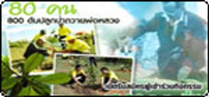80คน800ต้นปลูกป่าถวายแด่พ่อหลวง
