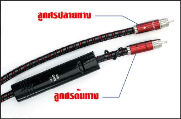 AudioQuest Interconnect & Speaker Cable