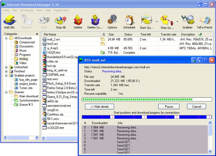 Internet Download Manager 6.04 Build 1