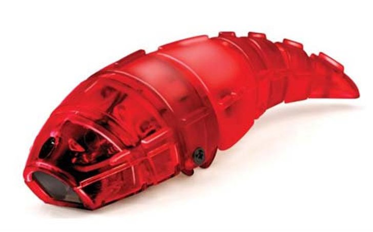 HexBug Larva หุ่นยนต์"หนอน"กระดึ๊บ