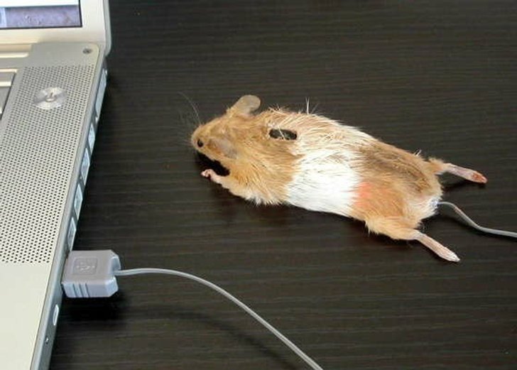 Mouse ไร้สาย vs มีสายจะเลือกอะไรดี ??