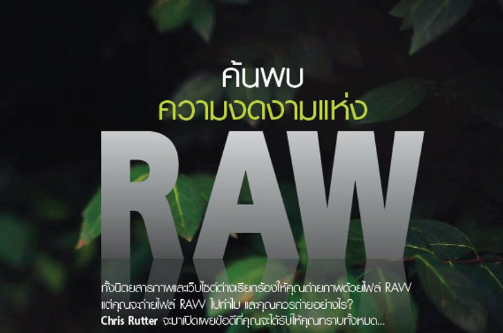RAW คืออะไร