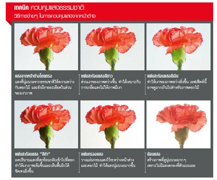 เคล็ดลับ...สร้างสรรค์ภาพ ใน บ้านของคุณ!