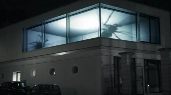 ตะลึง"แมงมุมยักษ์"โผล่ในตึกที่เยอรมัน?