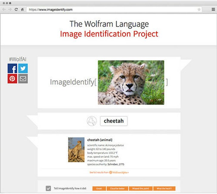 เทคโนโลยีสุดหรู! Wolfram Research โชว์ระบบตอบคำถาม "นี่คือภาพอะไร"