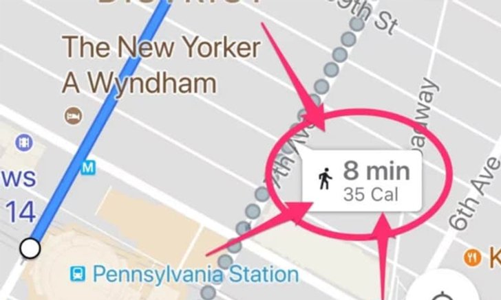Google Maps เพิ่มฟีเจอร์บอกจำนวนแคลอรี่ ที่เผาผลาญได้จากการเดิน