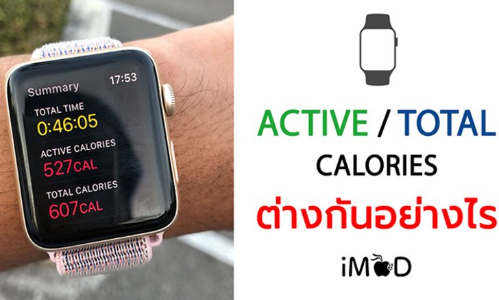 Active Calories กับ Total Calories ใน Apple Watch แตกต่างกันอย่างไร