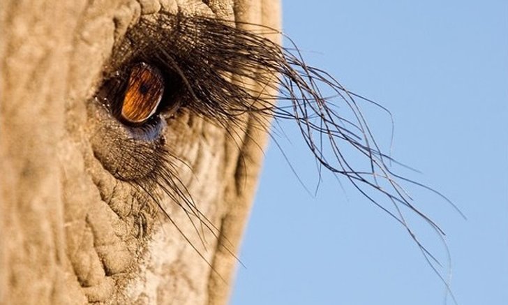 รวมภาพ มุมกล้อง เปลี่ยน มุมมอง คุณดูออกไหมว่าภาพที่เห็นเป็นอะไร?