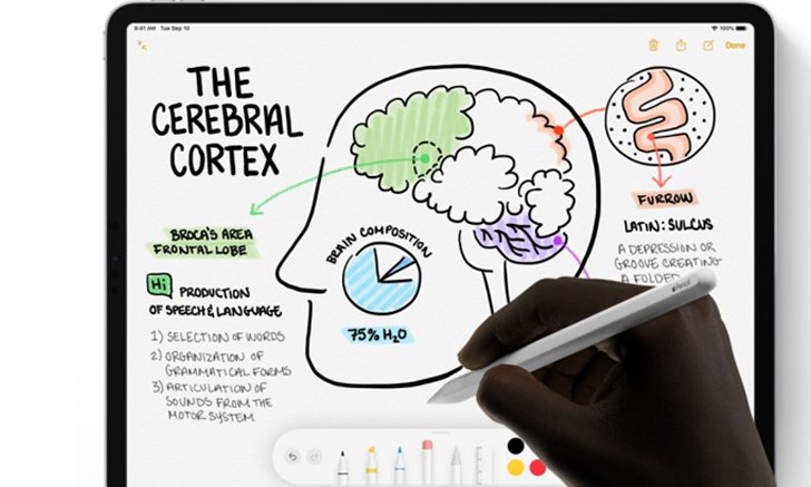 Apple Pencil รุ่นใหม่ จะรองรับการสัมผัสหลายระดับ เพื่อใช้ Gesture ได้หลากหลายขึ้น