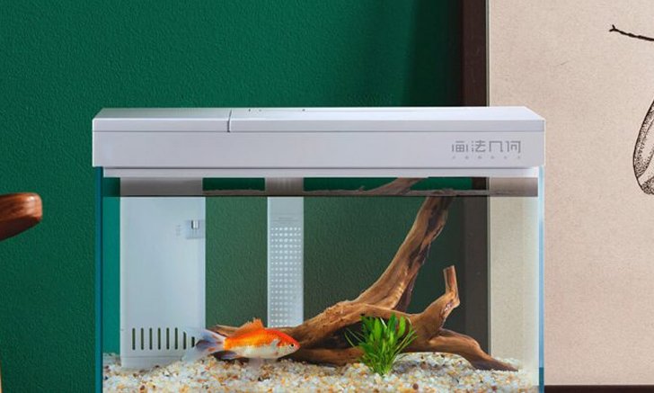 Xiaomi วางจำหน่ายตู้เลี้ยงปลาอัจฉริยะ ป้อนอาหารเองได้ ควบคุมอุณหภูมิผ่านสมาร์ตโฟนได้ด้วย