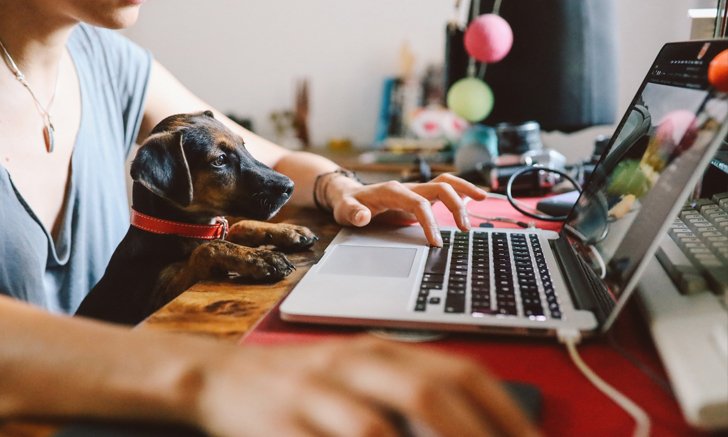 รวม Gadget ที่ควรมีหากจำเป็นต้องทำงานที่บ้าน (Work From Home)