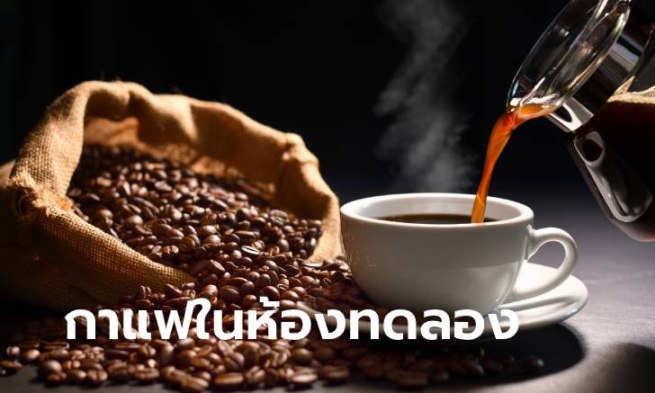 นักวิจัยชาวฟินแลนด์คิดค้นวิธีปลูกกาแฟในห้องทดลอง