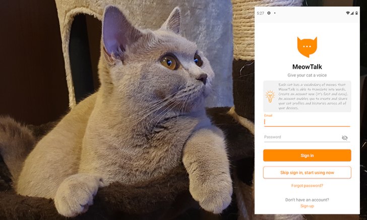 รู้จัก MeowTalk โปรแกรมแปลภาษาแมว เพื่อทาสแมวเข้าใจ เจ้านายของคุณให้มากขึ้น