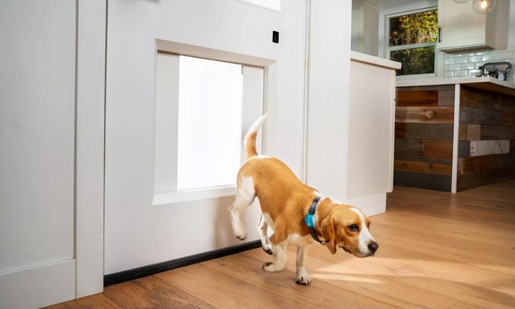 MyQ Pet Portal ประตูอัจฉริยะแบบใหม่สำหรับสัตว์เลี้ยง