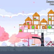 Angry Birds Valentine’s