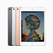 iPad Air Gen 3 / iPad Mini 5