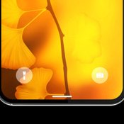iPhone 12 Pro Max (2021)