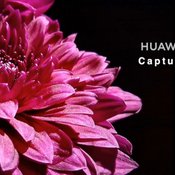 Huawei Nova 7i