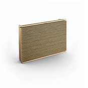 B&O Beosound Level