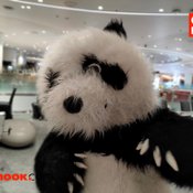 ภาพจาก realme 7 Pro
