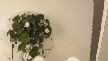 ศิลปินหุ่นยนต์สร้างมือหุ่นที่ใช้พืชควบคุมการเคลื่อนไหว