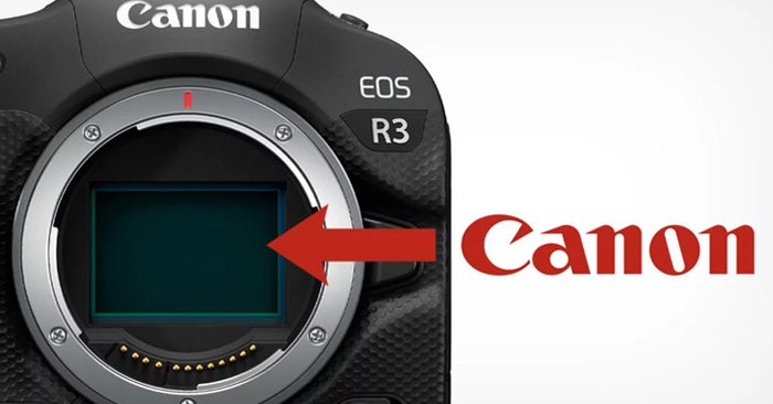 Canon ปฏิเสธข่าวลือ! เซนเซอร์ของ EOS R3 ไม่ได้ผลิตโดย Sony