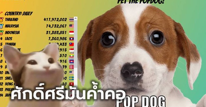 แมวไปหมามา ต่อเนื่องกับ "POPDOG" บอกเลย ไทยแลนด์ต้องที่ 1 เท่านั้น