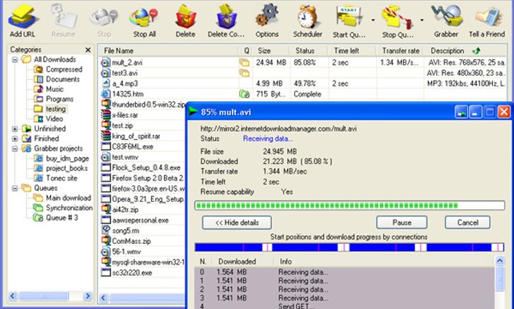 Internet Download Manager 6.04 Build 1