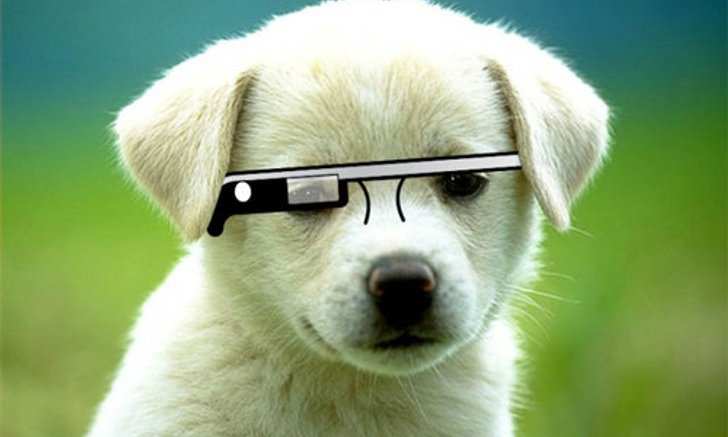 Google Glass จะส่อแววล่ม?