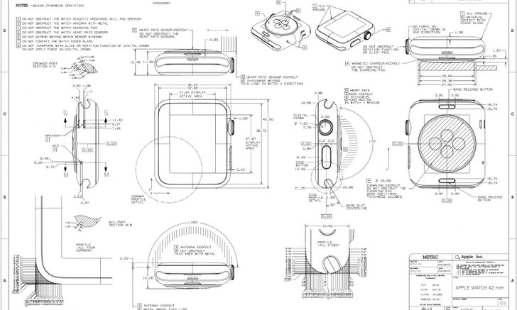 Apple เผยภาพแผนผังโชว์รายละเอียดทุกสัดส่วนของ Apple Watch