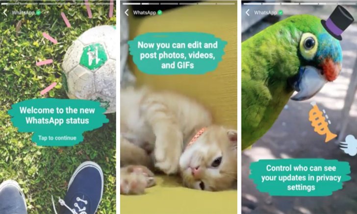 WhatsApp เพิ่มฟีเจอร์แชร์ภาพที่ลบตัวเองใน 24 ชั่วโมงชื่อ Status