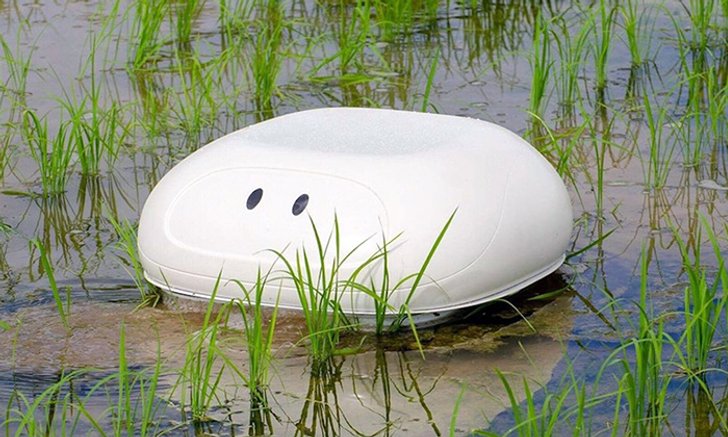 นิสสันพัฒนาหุ่นยนต์ Duck ช่วยกำจัดวัชพืชออกจากนาข้าวในประเทศญี่ปุ่น