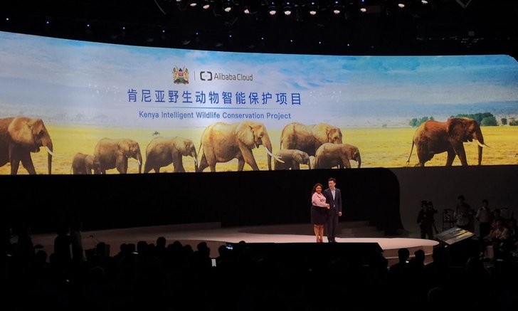 “แจ็ค หม่า” เผยนำ “Alibaba Cloud” ซัปพอร์ตป่าเคนย่า ปกป้องสัตว์ป่าจากภัยธรรมชาติและมนุษย์นักล่า!